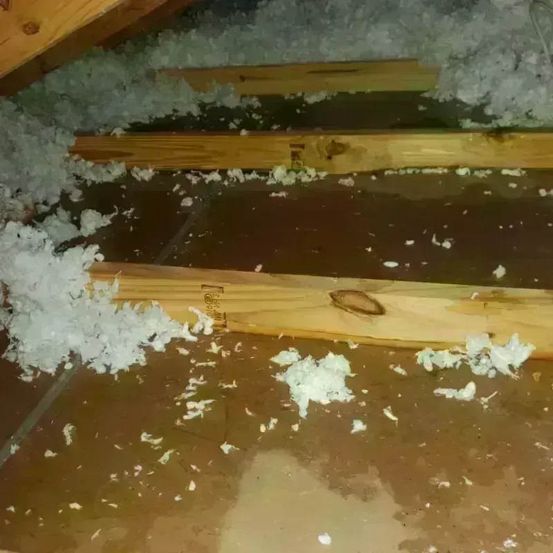 Attic Water Damage in Springville, NY