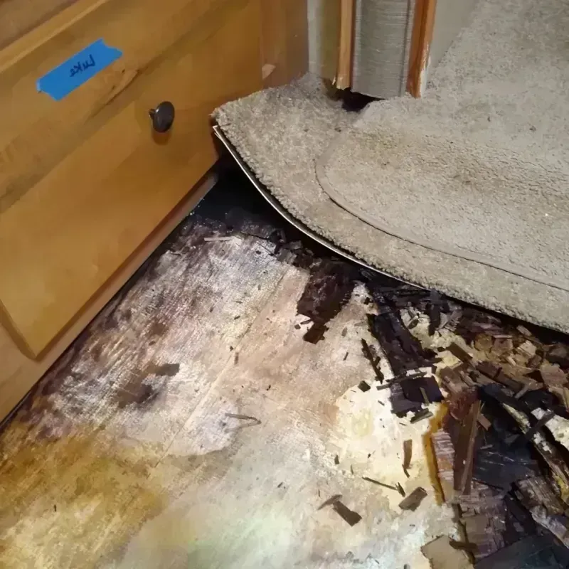 Best Wood Floor Water Damage Service in Springville, NY